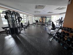 Trellis Towers (D12), Condominium #458569641